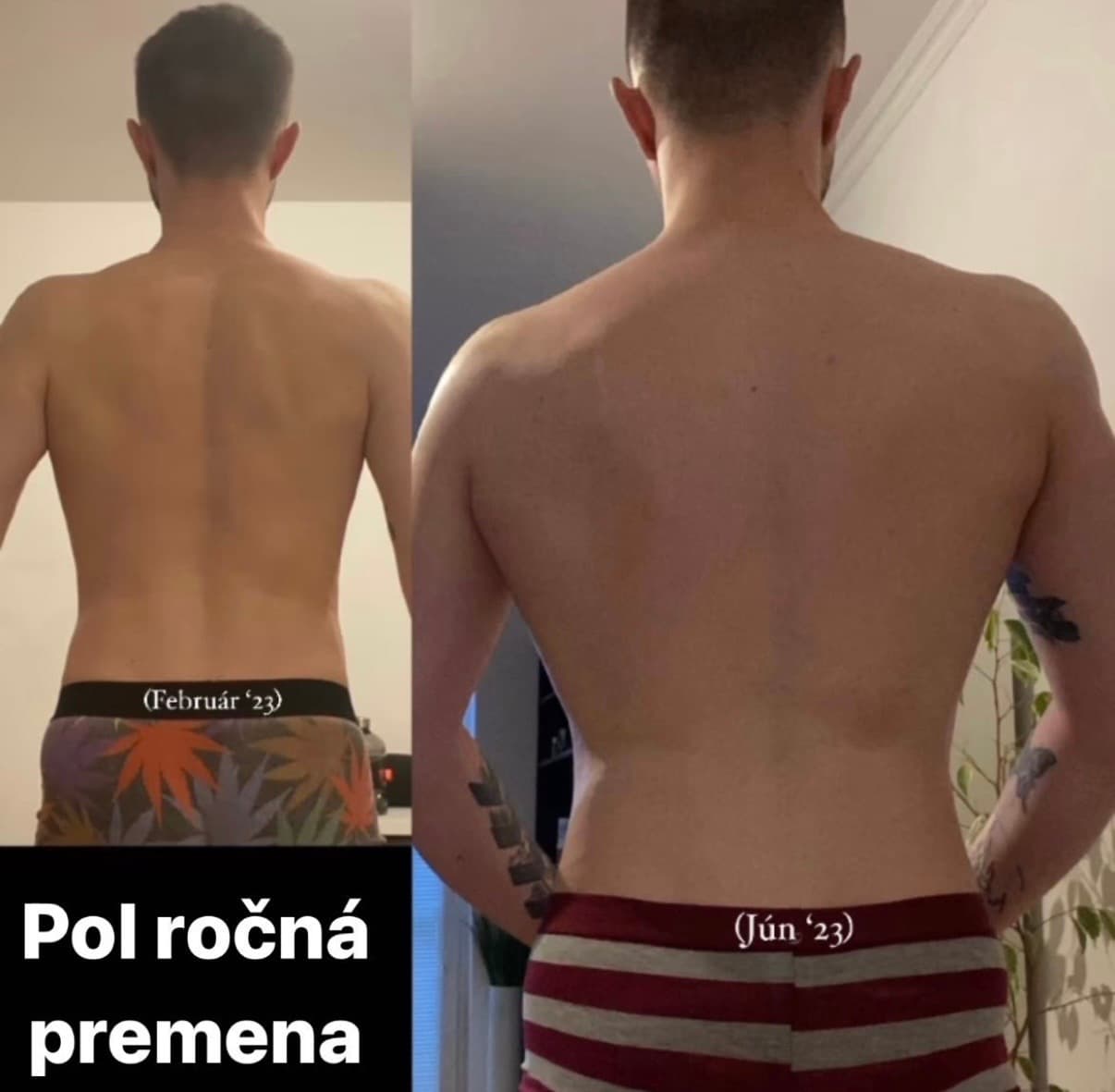 Premena klienta č. 10 — pred a po